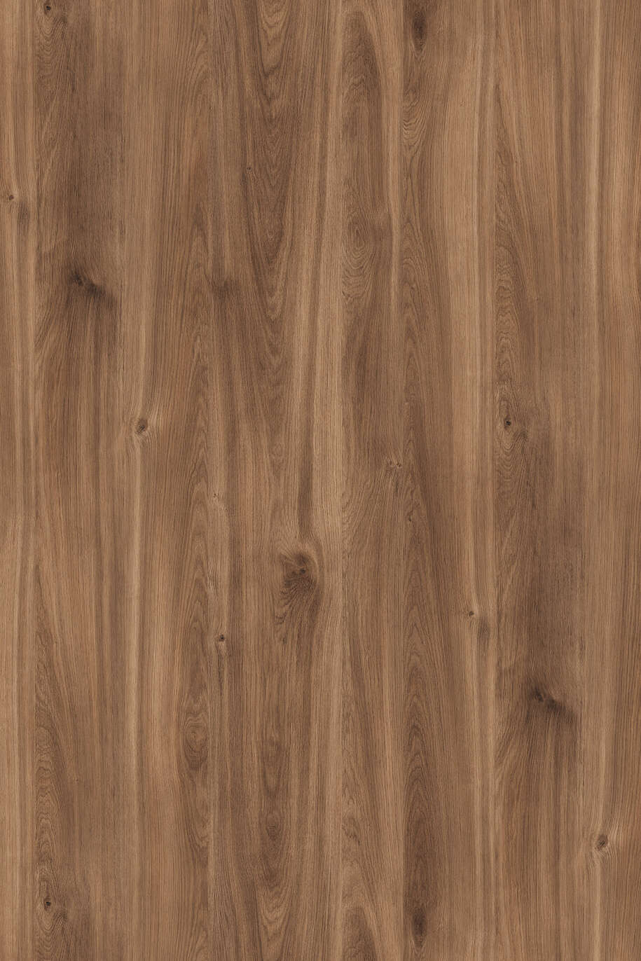 2359.jpg 2359 - الصورة 1
