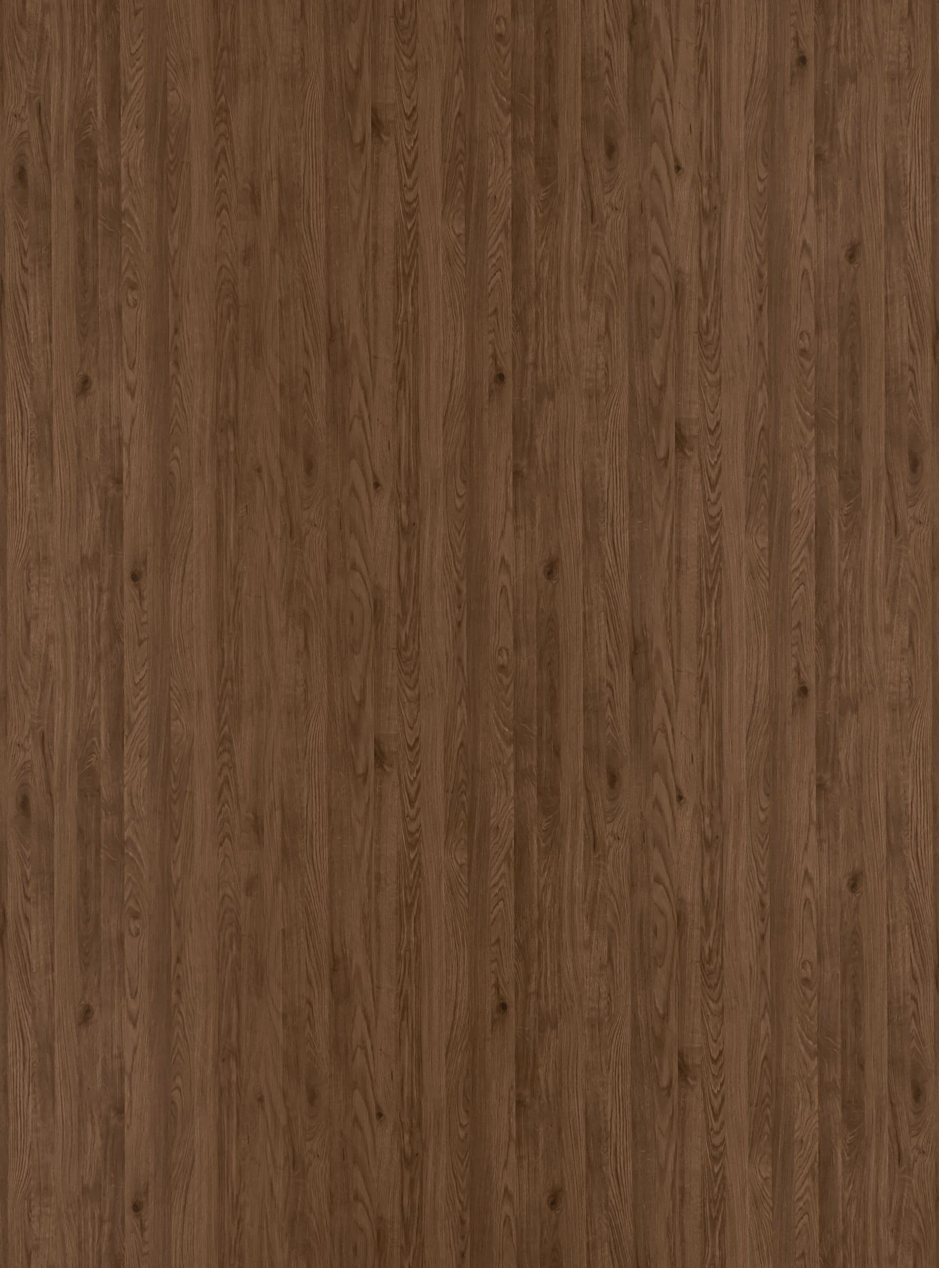 4131-scaled-1.jpg 4131 - الصورة 1