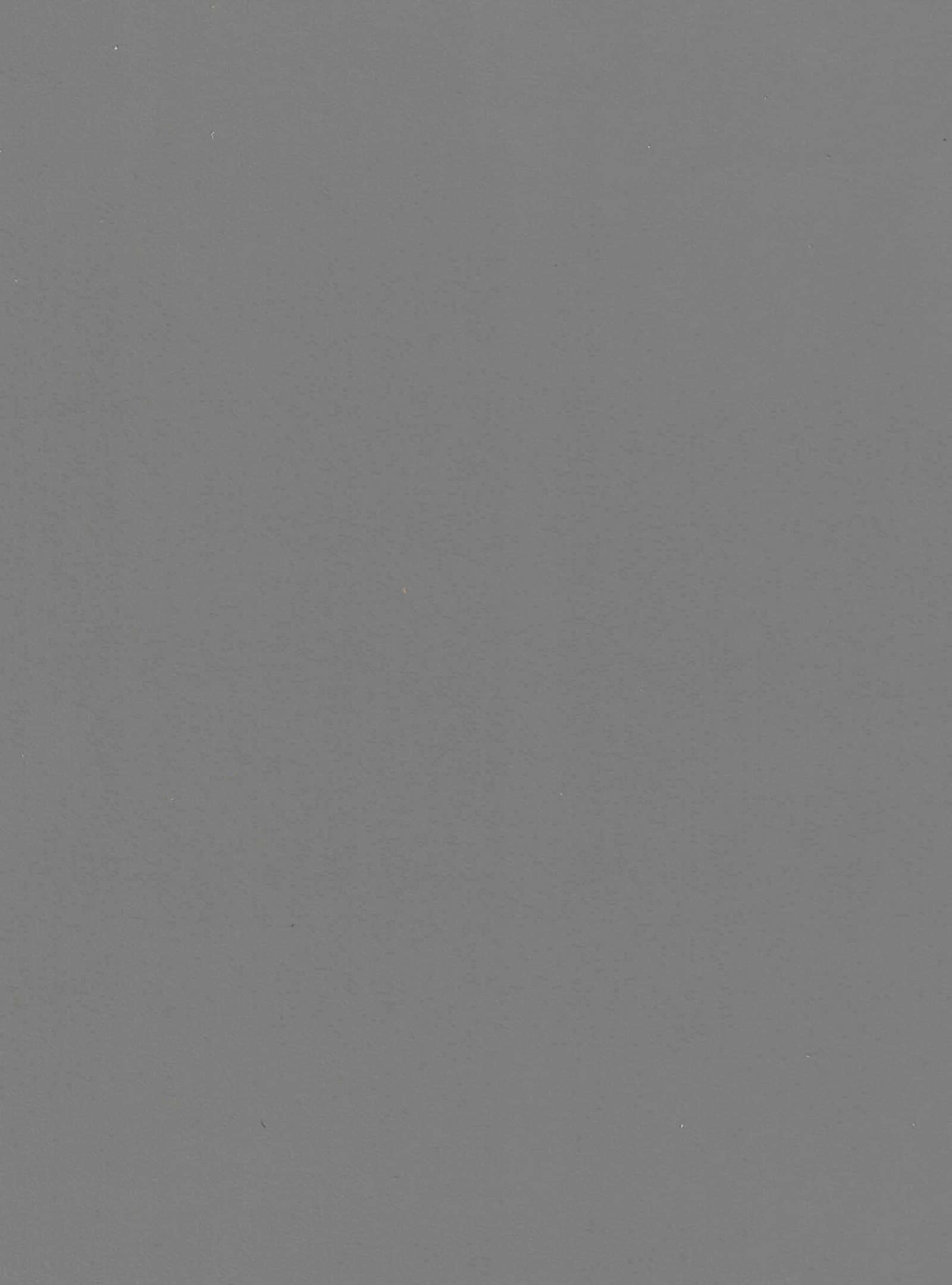 5013-scaled-1.jpg 5013 - الصورة 1